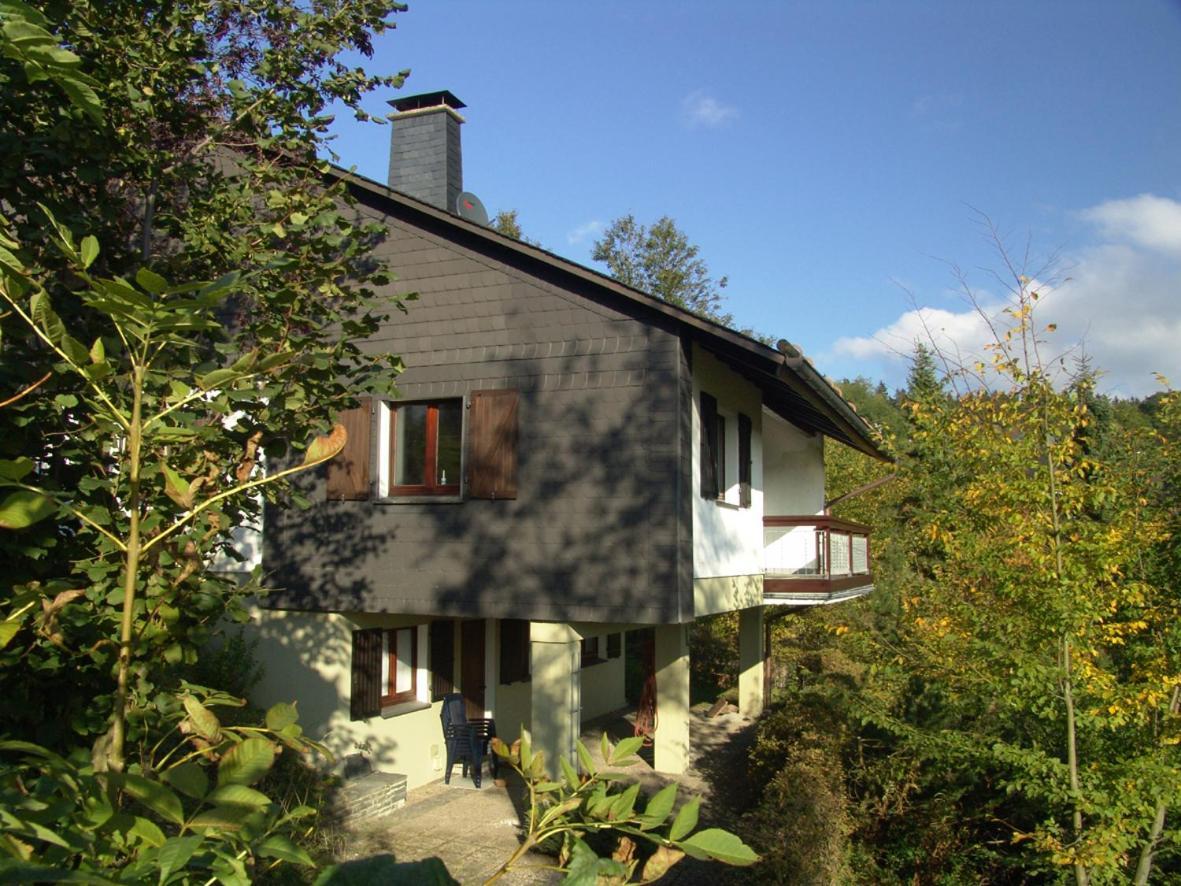 Ferienhaus Schanze19 Шмалленберг Экстерьер фото